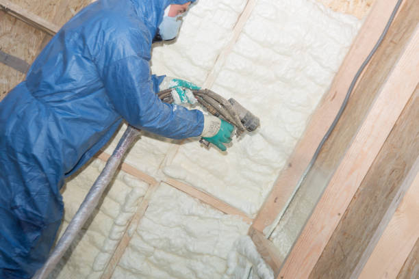 Types of Insulation We Offer in Craigsville, WV